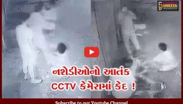 ભાવનગર: અસામાજિક તત્વોએ જાહેરમાં દારૂના નશામાં તોડફોડ કરી,સમગ્ર ઘટના સીસીટીવી કેમેરામાં થઈ કેદ