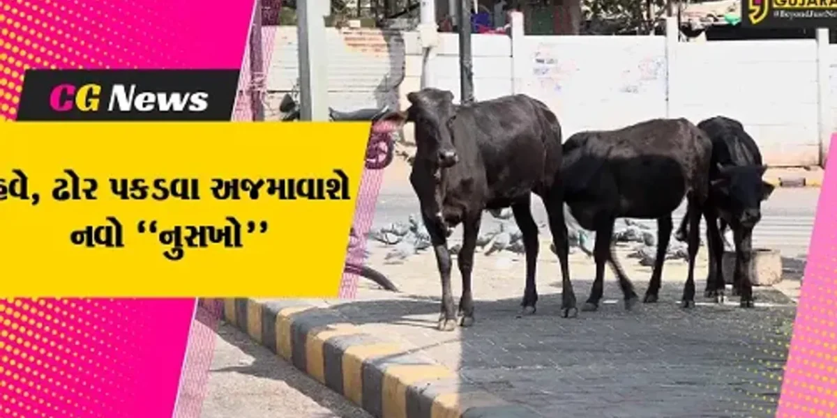 અમદાવાદ : હવે, CCTVના આધારે રઝળતાં ઢોરનું ટ્રાફિક પોલીસ કરશે મોનિટરિંગ, પછી ઢોર પકડવા આવશે મનપાની ટીમ