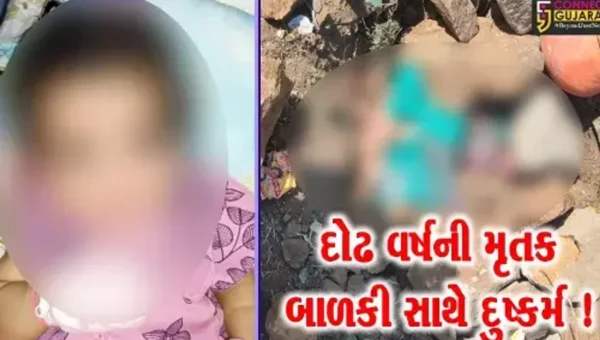 સુરેન્દ્રનગર: દોઢ વર્ષની મૃત બાળકી સાથે દુષ્કર્મ કરવામાં આવ્યું હોવાનો પરિવારજનોનો આક્ષેપ, જુઓ શું છે સમગ્ર મામલો