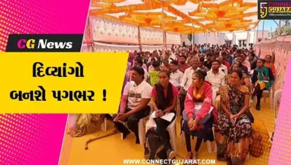 સાબરકાંઠા: રોજગાર વિભાગ દ્વારા દિવ્યાંગ ભરતી મેળાનું કરાયું આયોજન,250 દિવ્યાંગોએ લીધો લાભ