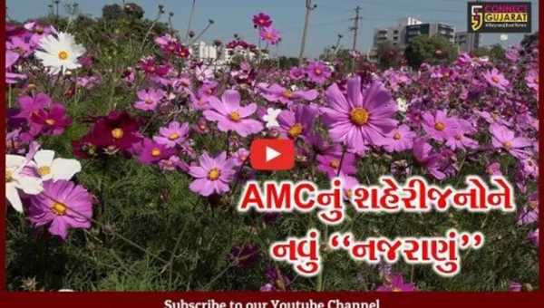 અમદાવાદ : કશ્મીરના શાલીમાર ગાર્ડનની તર્જ પર કોસમોસ વેલી ગાર્ડન તૈયાર, શહેરીજનો માટે બન્યું નવું નજરાણું…