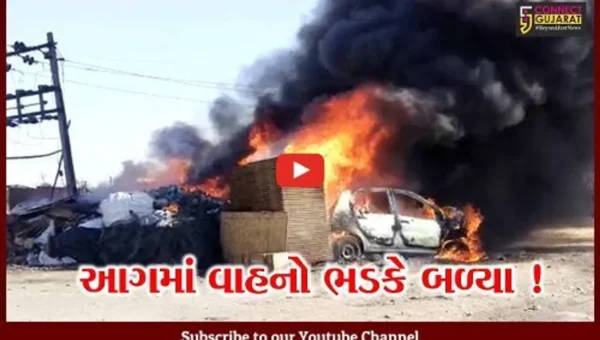 અંકલેશ્વર: નેશનલ હાઈવેને અડીને આવેલ ભંગારના ગોડાઉમાં આગ, બે વાહનો પણ આગમા બળીને સ્વાહા