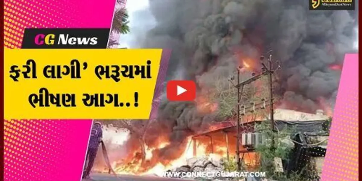 ભરૂચ : ભોલાવ GIDCની નર્મદા પેકેજીંગ કંપનીમાં ફાટી નીકળી ભીષણ આગ, કલેકટર-એસપી ઘટના સ્થળે…