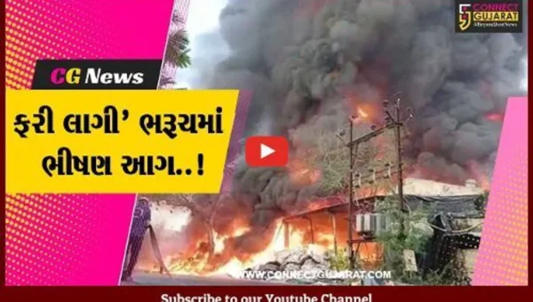 ભરૂચ : ભોલાવ GIDCની નર્મદા પેકેજીંગ કંપનીમાં ફાટી નીકળી ભીષણ આગ, કલેકટર-એસપી ઘટના સ્થળે…