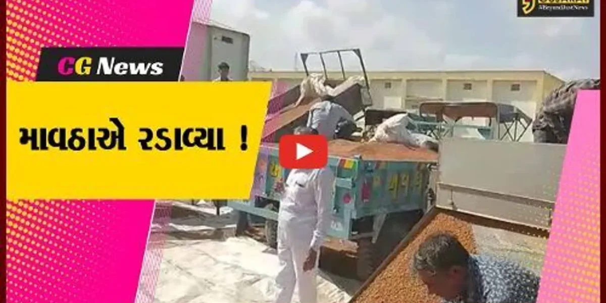 જુનાગઢ: માવઠા વચ્ચે ચણાની ટેકાના ભાવે ખરીદી શરૂ, ખેડૂતોમાં રોષ…