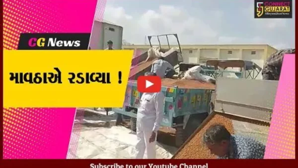 જુનાગઢ: માવઠા વચ્ચે ચણાની ટેકાના ભાવે ખરીદી શરૂ, ખેડૂતોમાં રોષ…