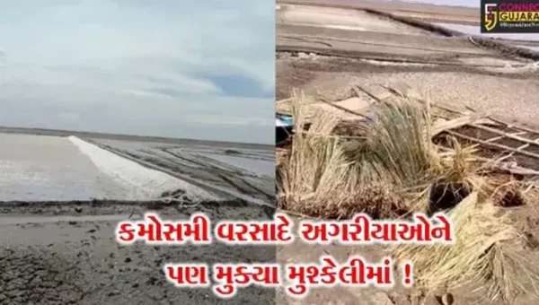 સુરેન્દ્રનગર: રણ વિસ્તારમાં કમોસમી વરસાદના કારણે મીઠાના અગરમાં ભારે નુકશાન,ભારે પવનના કારણે ઝૂપડા પણ ઉડ્યા