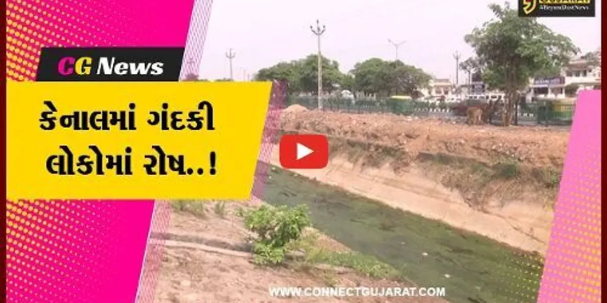 સાબરકાંઠા : હિંમતનગરની કેનાલમાં ખદબદતી ગંદકી, રોગચાળો ફેલાવાની સ્થાનીકોમાં દહેશત..!