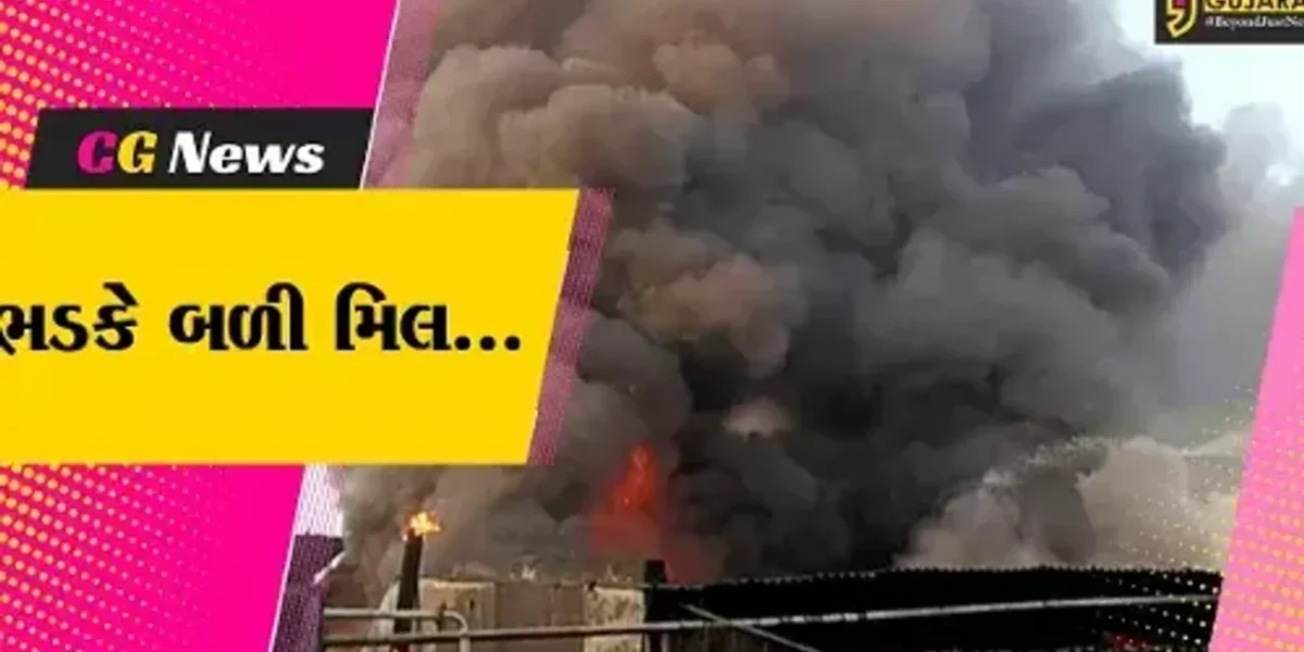 સુરત : પાંડેસરાની ડાઇંગ મિલમાં ફાટી નીકળી ભીષણ આગ, ફાયર ફાઇટરો દોડ્યા…