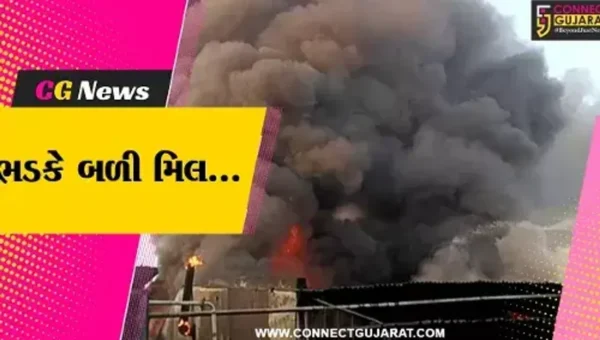 સુરત : પાંડેસરાની ડાઇંગ મિલમાં ફાટી નીકળી ભીષણ આગ, ફાયર ફાઇટરો દોડ્યા…