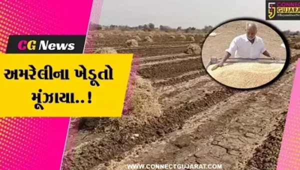 અમરેલી : વરસાદની આગાહી વચ્ચે ખેત પેદાશોને સલામત સ્થળે ખસેડવાની ખેડૂતોને ફરજ પડી…