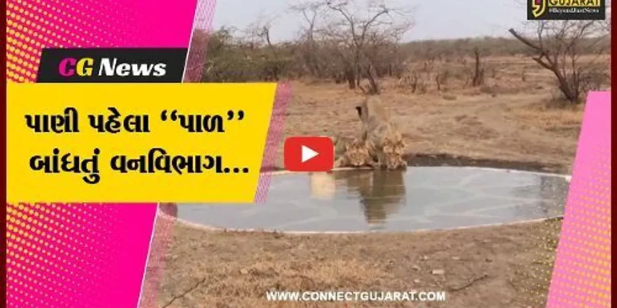 અમરેલી : ગીરના ઘરેણાં ડાલામથ્થા સિંહો માટે ઉનાળામાં પીવાના પાણીની વ્યવસ્થા કરતું વનવિભાગ તંત્ર…