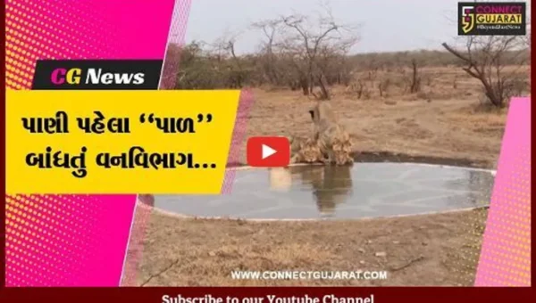 અમરેલી : ગીરના ઘરેણાં ડાલામથ્થા સિંહો માટે ઉનાળામાં પીવાના પાણીની વ્યવસ્થા કરતું વનવિભાગ તંત્ર…