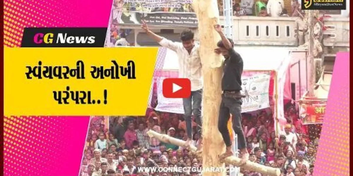 દાહોદ : મનગમતી યુવતીને પામવા યુવાનો ખાય છે માર, જુઓ કેવો હોય છે ગોળ-ગધેડાનો મેળો..!