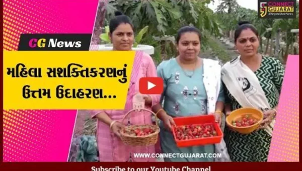 જામનગર : સ્ટ્રોબેરી અને ડ્રેગન ફ્રૂટમાંથી જામ-જેલી-ચિપ્સ બનાવી વેચાણ કરતી આણંદપર ગામની બહેનો…