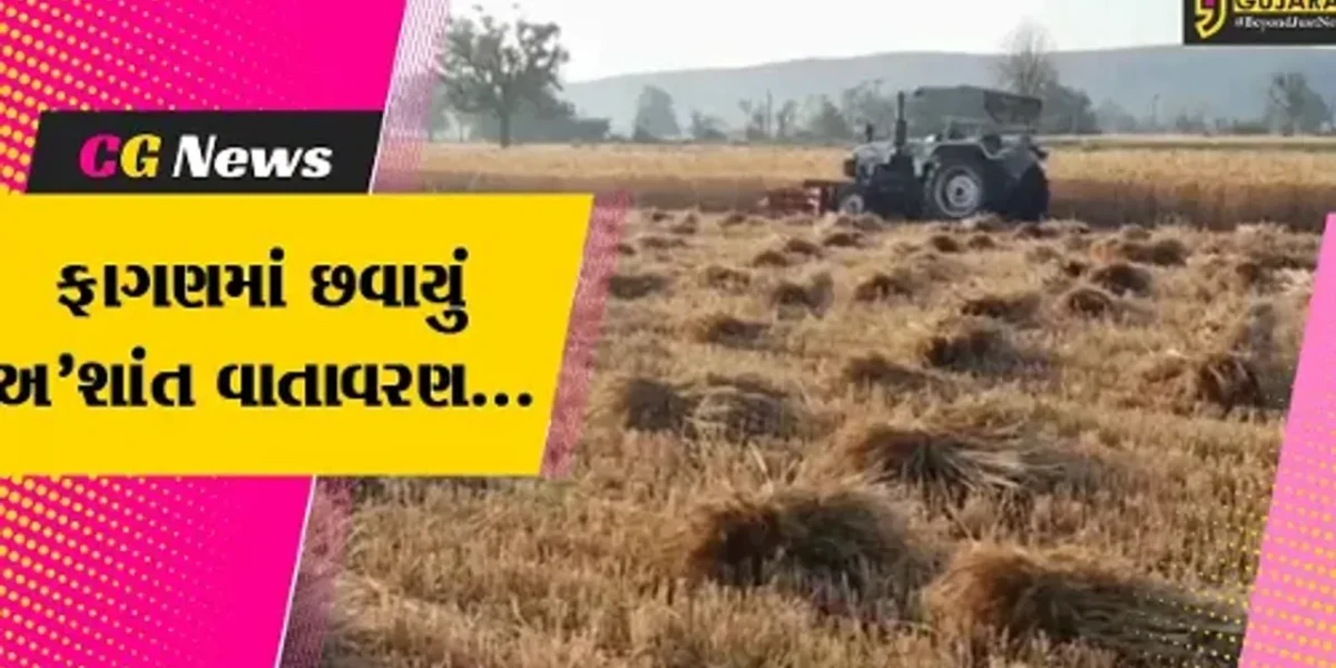 સાબરકાંઠા : હવામાનમાં આવેલા પલટાને કારણે ખેડૂતોના પાકને નુકસાન, સરકાર પાસે કરી સહાયની માંગ..!