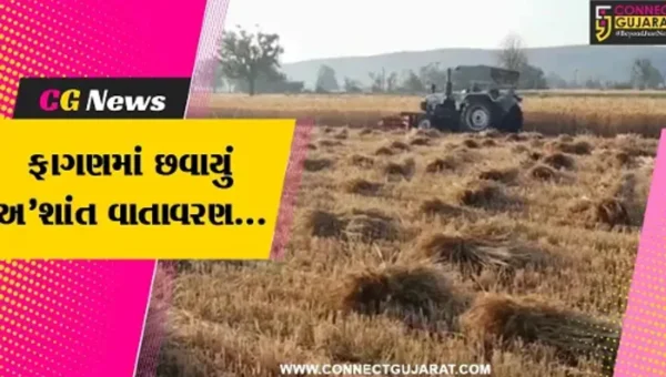 સાબરકાંઠા : હવામાનમાં આવેલા પલટાને કારણે ખેડૂતોના પાકને નુકસાન, સરકાર પાસે કરી સહાયની માંગ..!