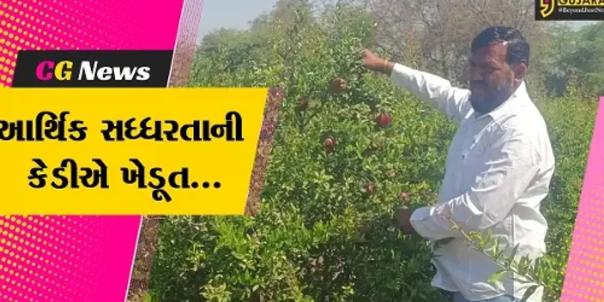 પંચમહાલ : ભગવાસિંદુરી જાતના દાડમની ઉજડા ગામના પ્રગતિશીલ ખેડૂતે કરી સફળ ખેતી…