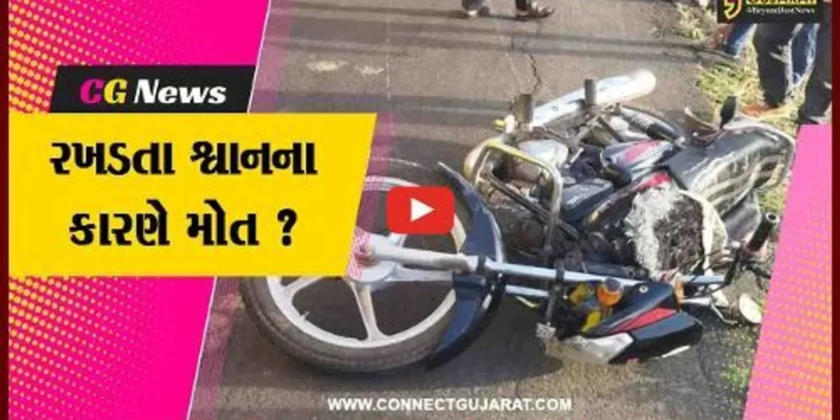 ભરૂચ: જંબુસરના સિંગરણા ટંકારી ગામે વચ્ચે બાઇક ચાલકનું માર્ગ અકસ્માતમાં મોત, રસ્તા વચ્ચે શ્વાન આવી જતાં સર્જાયો અકસ્માત