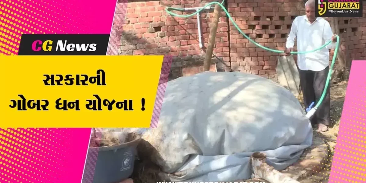 ખેડા:સરકારની ગોબર ધન યોજના થકી પ્રદૂષણમુક્ત ઈંધણનો વિકલ્પ,જુઓ ખેડૂતોએ કેમ અપનાવ્યો આ માર્ગ