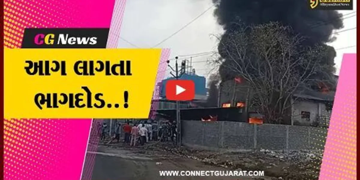 અંકલેશ્વર : પાનોલી GIDCમાં પ્લાસ્ટિક ભરેલા ગોડાઉનમાં ફાટી નીકળી આગ, કોઈ જાનહાની નહીં..!