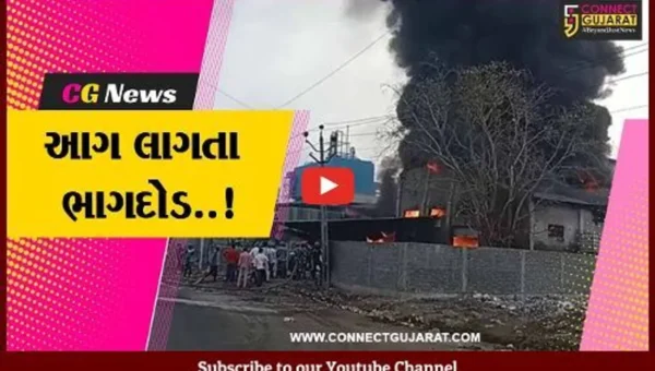 અંકલેશ્વર : પાનોલી GIDCમાં પ્લાસ્ટિક ભરેલા ગોડાઉનમાં ફાટી નીકળી આગ, કોઈ જાનહાની નહીં..!