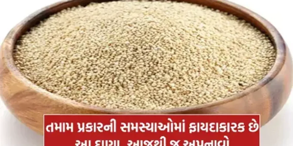 માત્ર વ્રત જ નહીં, નોર્મલ ડાયટ માં પણ સામેલ કરી શકો છો “રાજગરો” થશે અનેક મોટા ફાયદા