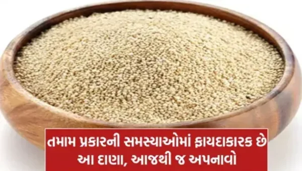 માત્ર વ્રત જ નહીં, નોર્મલ ડાયટ માં પણ સામેલ કરી શકો છો “રાજગરો” થશે અનેક મોટા ફાયદા