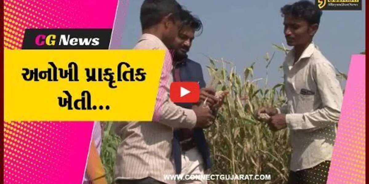 ગીર સોમનાથ : પ્રાકૃતિક ખેતીમાં વિકાસના પંથે આગળ વધ્યા ઉના-કાજરડીના પ્રગતિશીલ ખેડૂત…