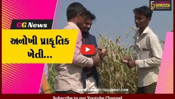 ગીર સોમનાથ : પ્રાકૃતિક ખેતીમાં વિકાસના પંથે આગળ વધ્યા ઉના-કાજરડીના પ્રગતિશીલ ખેડૂત…