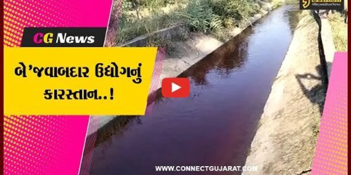 ભરૂચ : જંબુસરના પીલુદરા ગામે કેનાલમાં રસાયણયુક્ત પાણી ભળી આવતા ગ્રામજનો-ખેડૂતોમાં રોષ…