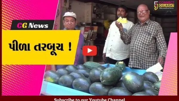 જામનગર: પીળા રંગના તરબૂચે ગ્રાહકોમાં જમાવ્યું આકર્ષણ
