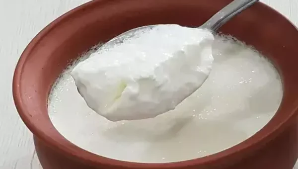 ગરમીમાં દહીં થઈ જાય છે ખાટુ..? દહીં ને ફેંકી દેવા કરતાં ઉપયોગ કરો આ વાનગીઓ બનાવવામાં