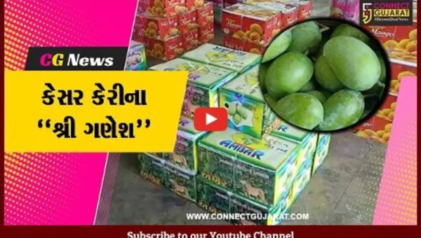 જુનાગઢ : કેરીના રસિયાઓ માટે ખુશીના સમાચાર, માર્કેટિંગ યાર્ડમાં કેસર કેરીની આવકના “શ્રી ગણેશ”