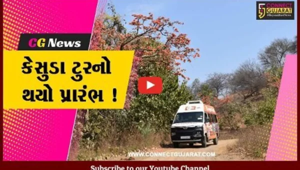 નર્મદા: સ્ટેચ્યૂ ઓફ યુનિટી કેસુડા ટુરનો થયો પ્રારંભ, જંગલની મુલાકાત લઈ મન થશે પ્રફુલ્લિત