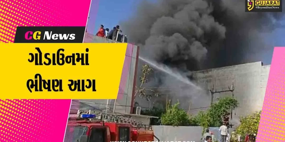 સાબરકાંઠા : વડાલીના જીન કમ્પાઉન્ડમાં ભીષણ આગ ફાટી નીકળી, કરોડો રૂપિયાનું થયું નુકશાન
