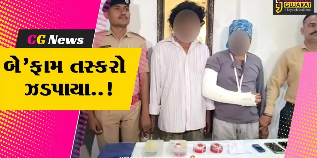 સુરત : ઘરફોડ અને વાહન ચોરીને અંજામ આપતા 2 રીઢા આરોપીઓ ઝડપાયા, રૂ. 7 લાખનો મુદ્દામાલ જપ્ત