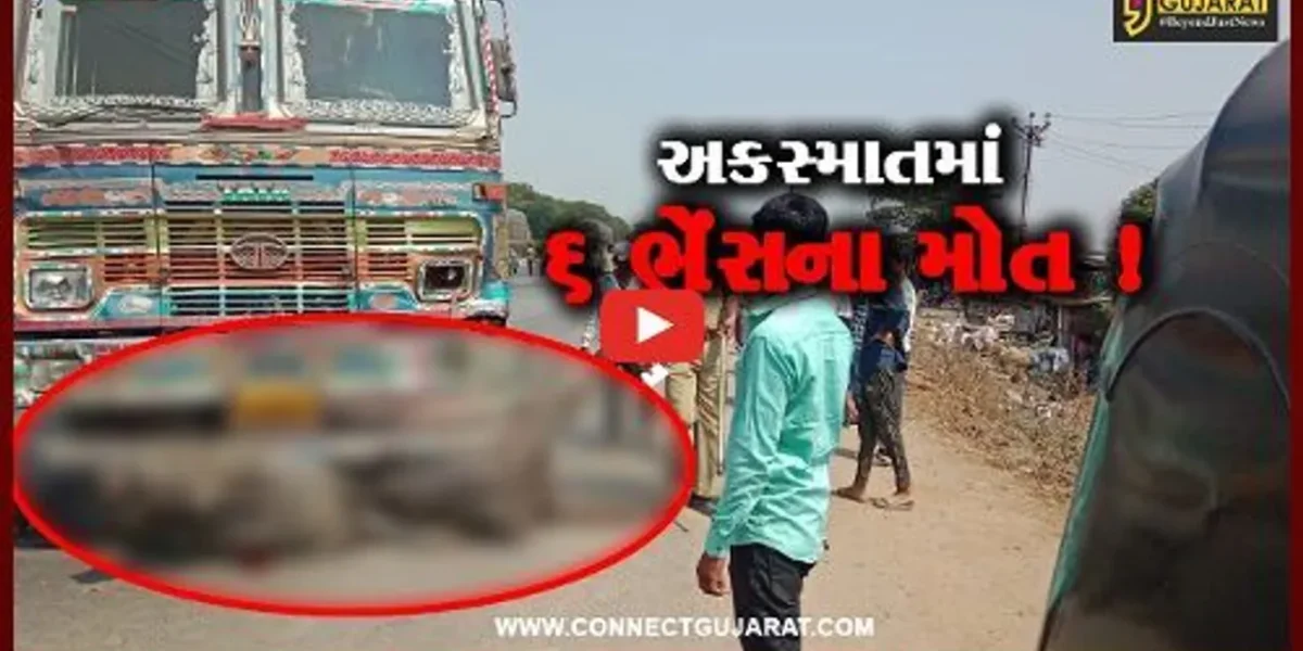 અંકલેશ્વર: નેશનલ હાઇવે પર ખરોડ ચોકડી નજીક હાઈવાની અડફેટે 6 ભેંસના મોત