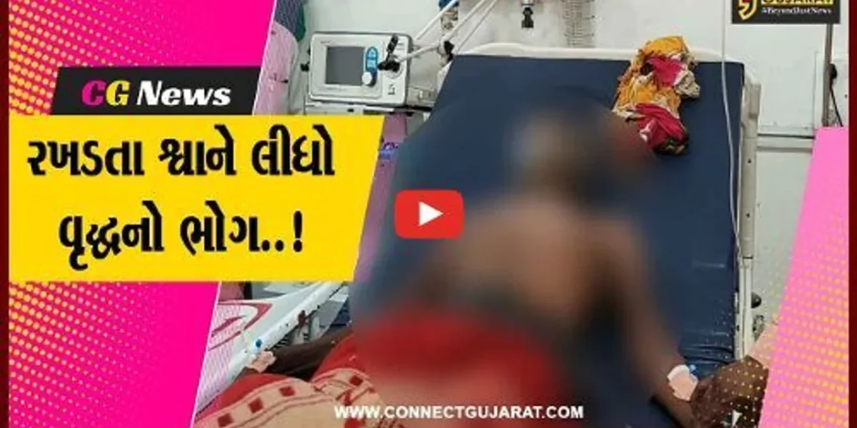 સુરત : હડકવા વિરોધી રસી નહીં લેનાર વૃદ્ધને હડકવાના લક્ષણો ઉપડતા સારવાર દરમ્યાન મોત…