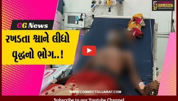 સુરત : હડકવા વિરોધી રસી નહીં લેનાર વૃદ્ધને હડકવાના લક્ષણો ઉપડતા સારવાર દરમ્યાન મોત…