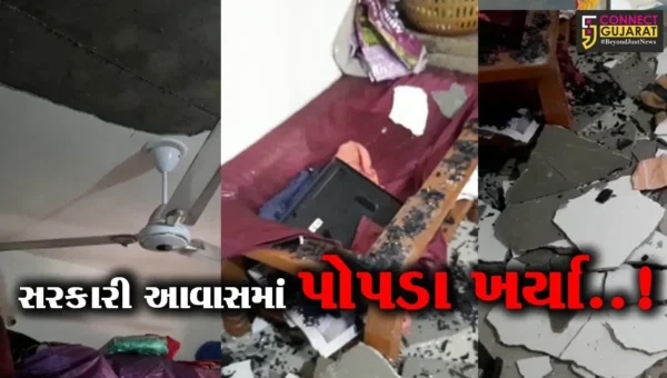 વડોદરા : સયાજીપુરાના સરકારી આવાસમાં પોપડા ખરતા સ્થાનિકોને હાલાકી વેઠવાનો વારો…