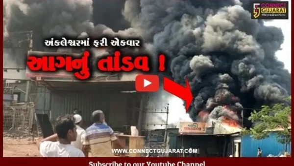 અંકલેશ્વર: ભંગારના ગોડાઉનમાં ભીષણ આગ ફાટી નિકળી, આસપાસના 5 ગોડાઉનમાં પણ આગ પ્રસરી