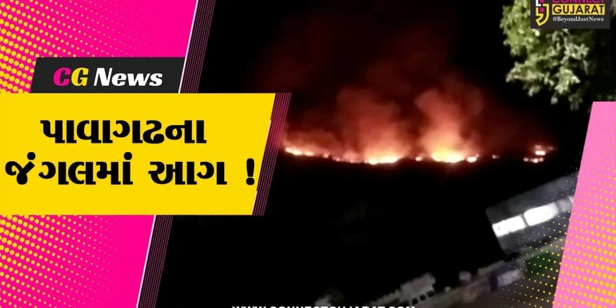 યાત્રાધામ પાવાગઢના જંગલ વિસ્તારમાં ભીષણ આગ લાગતા નાસભાગ,ડુંગર પર લાગી આગ