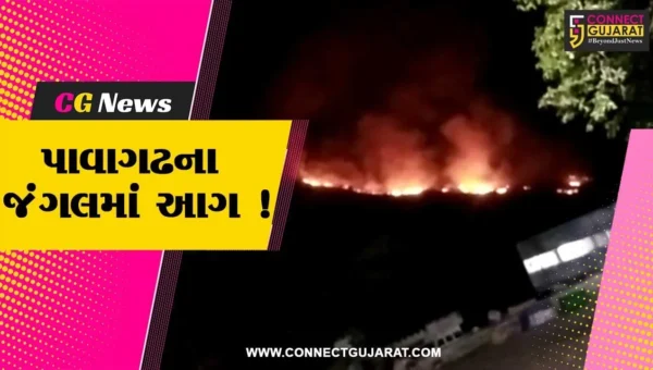 યાત્રાધામ પાવાગઢના જંગલ વિસ્તારમાં ભીષણ આગ લાગતા નાસભાગ,ડુંગર પર લાગી આગ