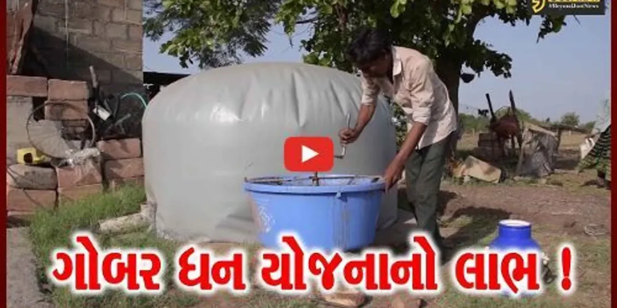 ગુજરાતના ગામડાઓમાં સેંકડો ગ્રામજનોએ ગોબરધન યોજનાનો લાભ લઈ સુખી-સંપન્ન થયા