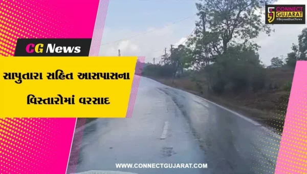 ડાંગ: સાપુતારાના વાતાવરણમાં પલટો, શીત લહેરથી સહેલાણીઓ ગેલમાં