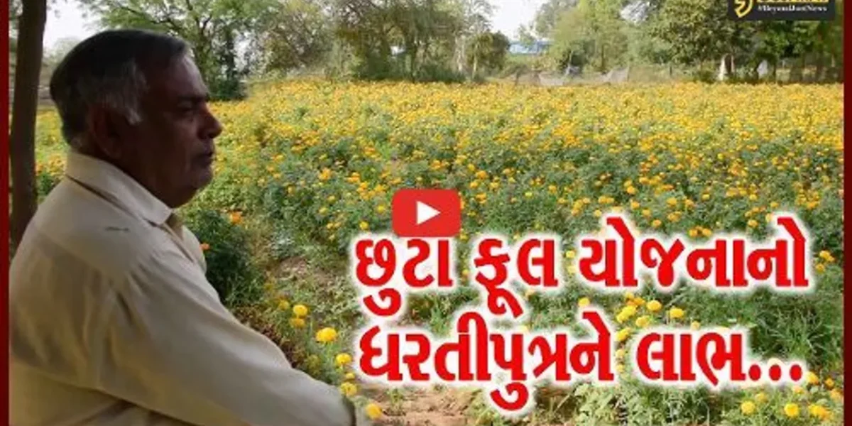 રાજ્ય સરકારના બાગાયત વિભાગની “છુટા ફૂલ યોજના”નો આણંદના ધરતીપુત્રને મળ્યો લાભ…