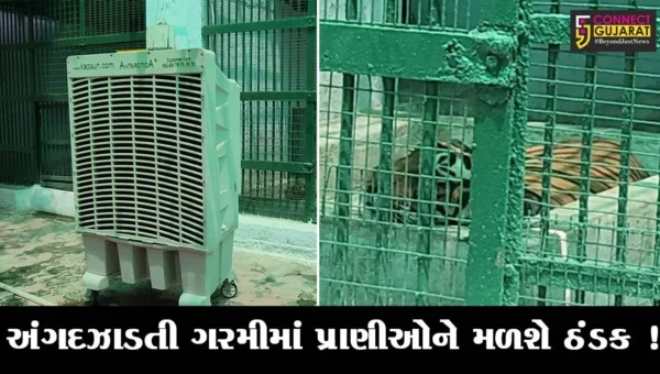 અમદાવાદ: કાંકરિયા પ્રાણી સંગ્રહાલયમાં પ્રાણીઓ માટે કુલર મુકાયા, ખોરાકમાં તરબૂચ-શક્કરટેટી પણ અપાશે
