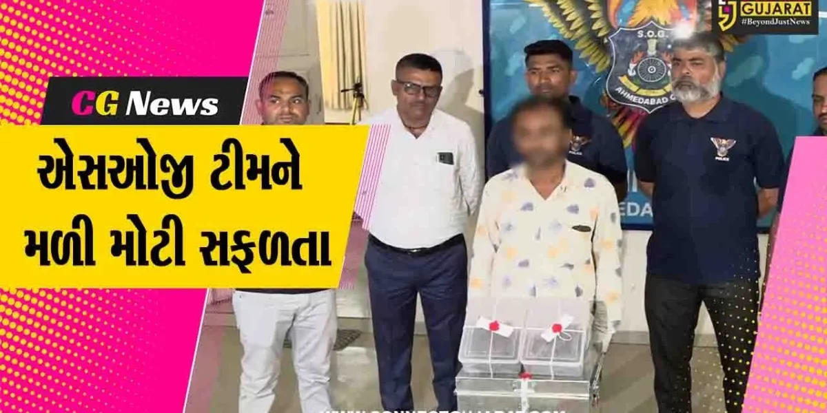 અમદાવાદ : SOG નાર્કોટિક્સે રીઢા ગુનેગારને પકડી પાડ્યો, 17 કિલો ગાંજાના જથ્થા સાથે પકડાયો પેરોલ જમ્પ