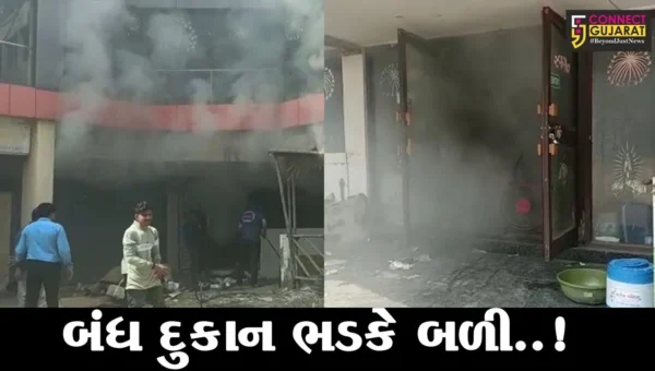 ભરૂચ : રંગોલી કોમ્પલેક્ષની બંધ દુકાનમાં ફાટી નીકળી આગ, ફાયર વિભાગ દોડ્યું…